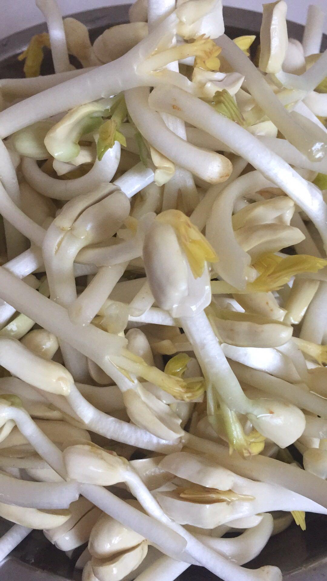 自己动手种花生芽