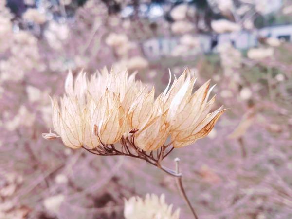 午餐•2022年1月8日