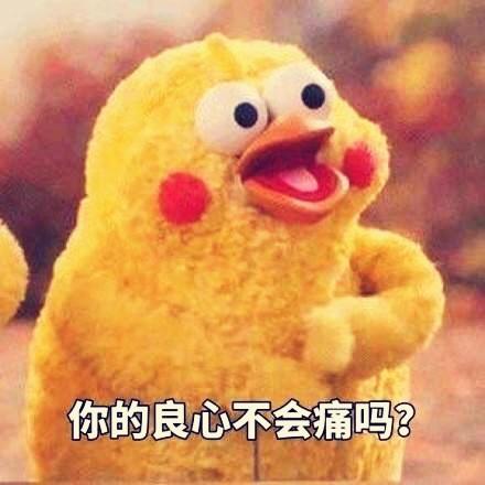 左熊右猫