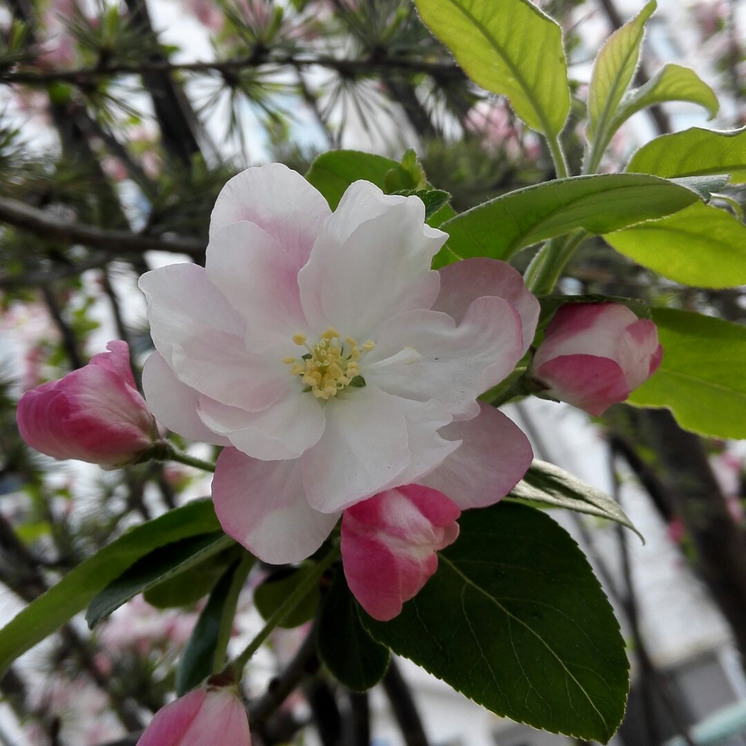 手机用户2179_5vnt