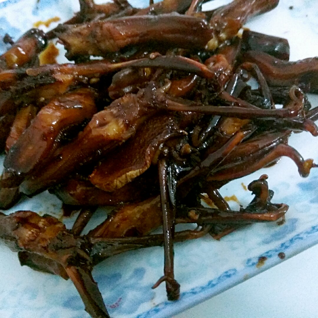 自制周黑鸭鸭舌 还原度100%（所有鸭货）