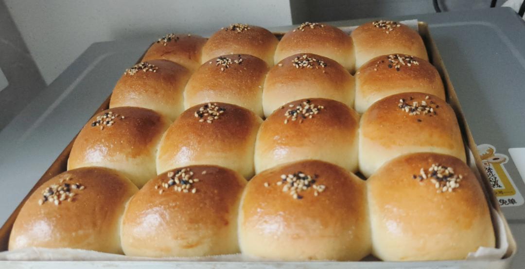 豆沙小餐包（一次发酵）