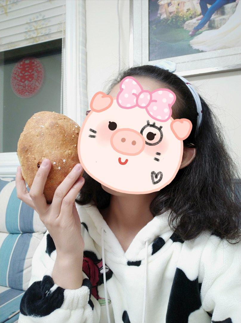 慢碳高纤纯全麦面包～（无油无糖无蛋无奶）