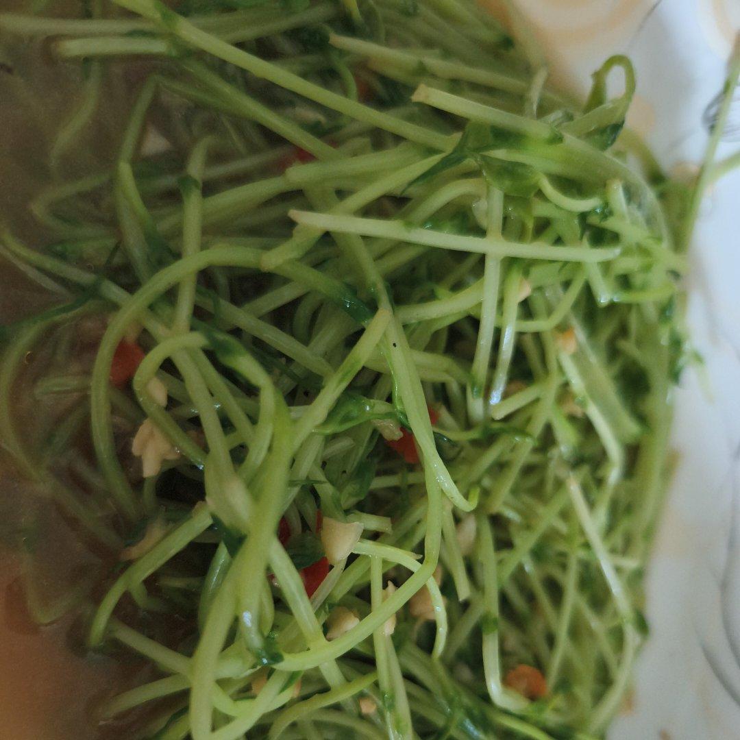 清新豌豆苗