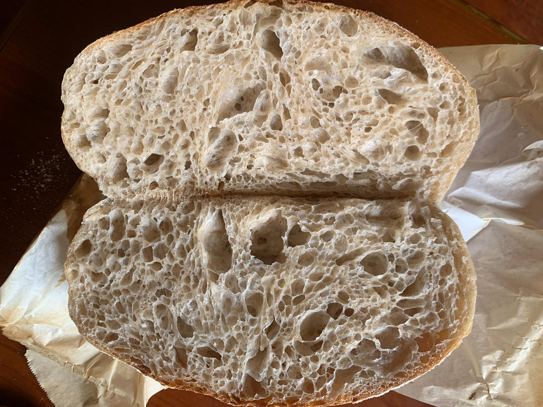 波兰种罗勒硬欧