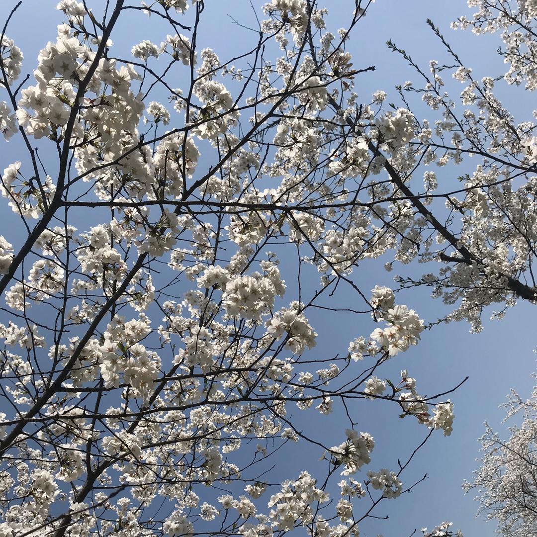 犟宝贝厨房