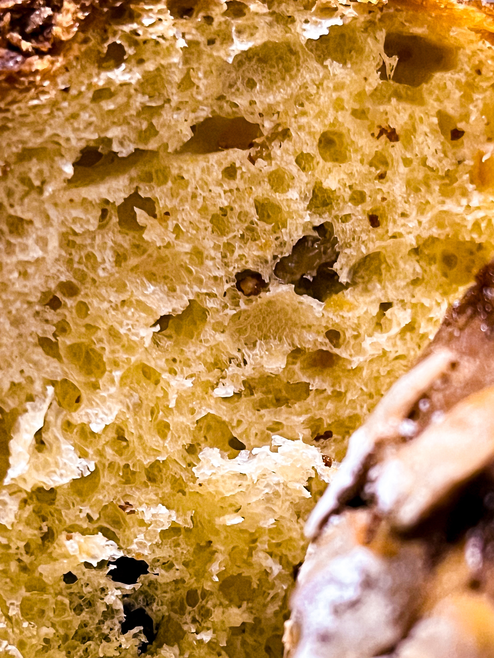 意大利新年面包：潘娜托尼，做完放3天味道更好吃
