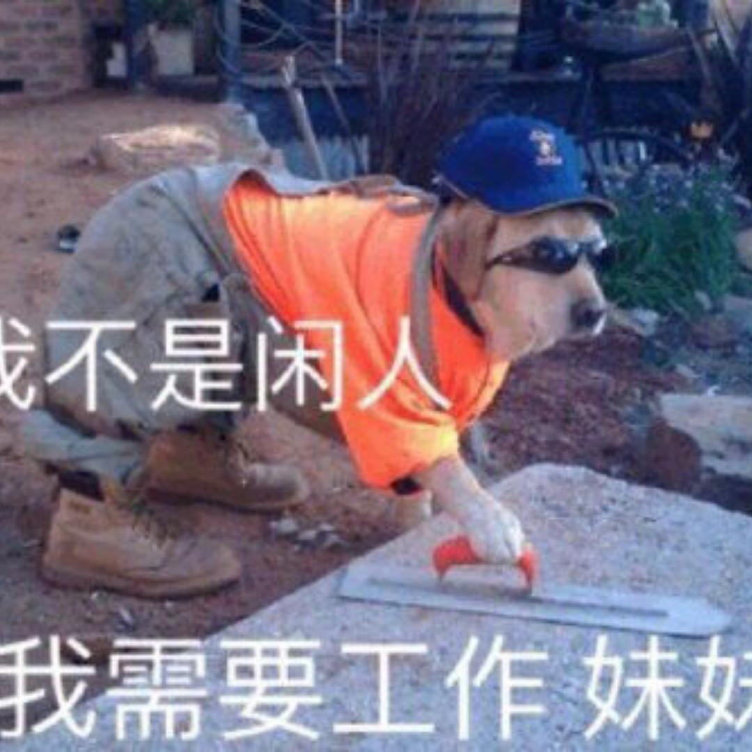 钱多活少的工作请介绍给我