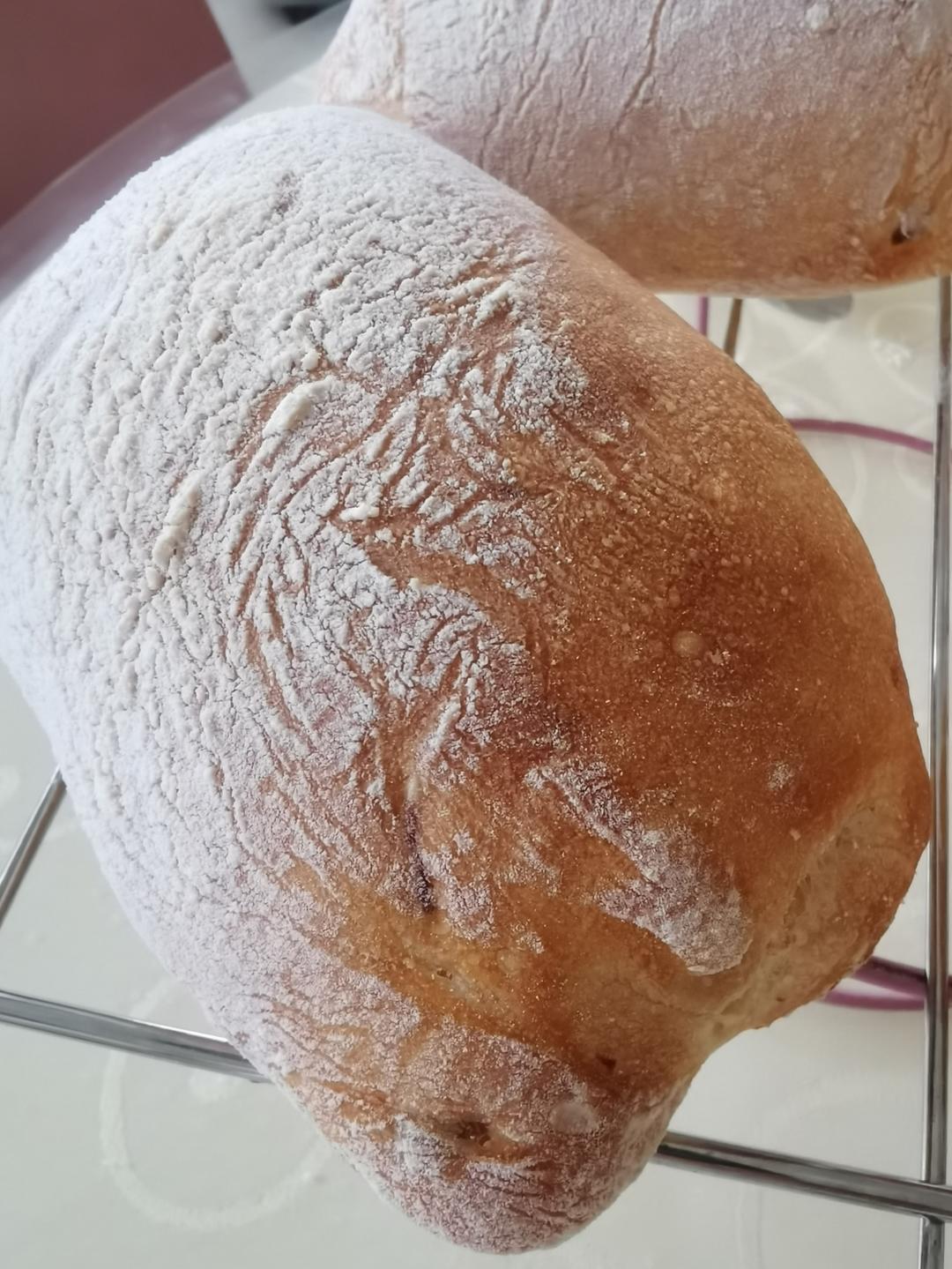 必格种的恰巴塔