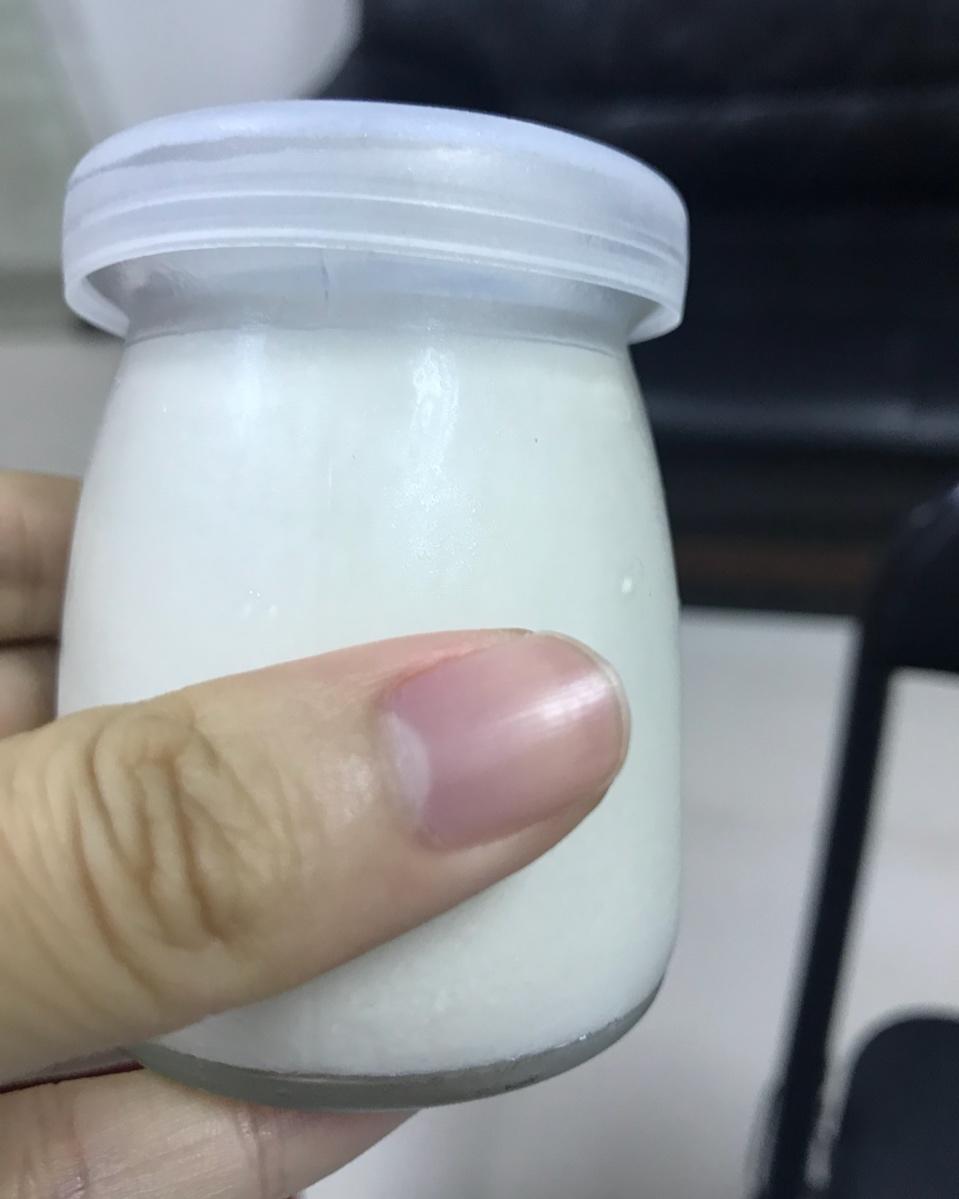 椰奶冻