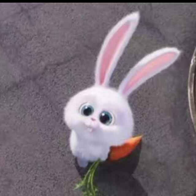 圆圆的梦里有个兔子