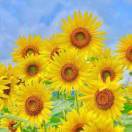 微信用户_9kKA_nwkh