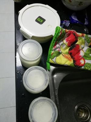 自制酸奶无需酸奶机的做法 步骤5