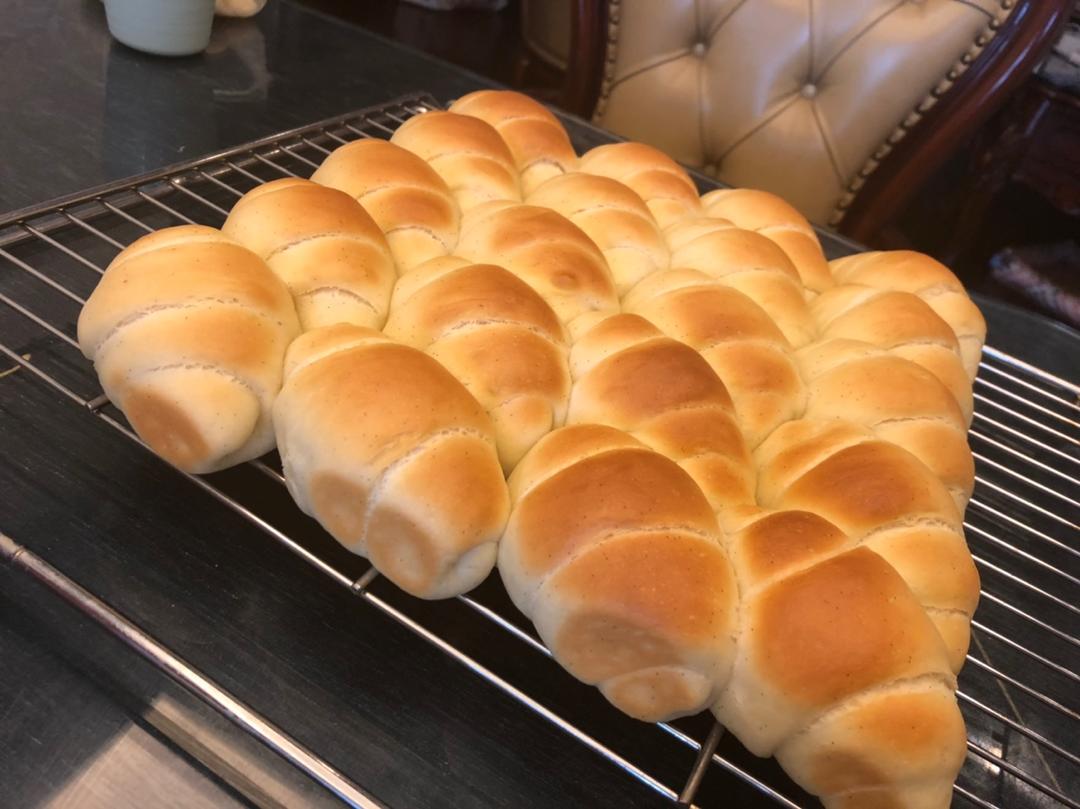 香草牛奶面包（波兰种）