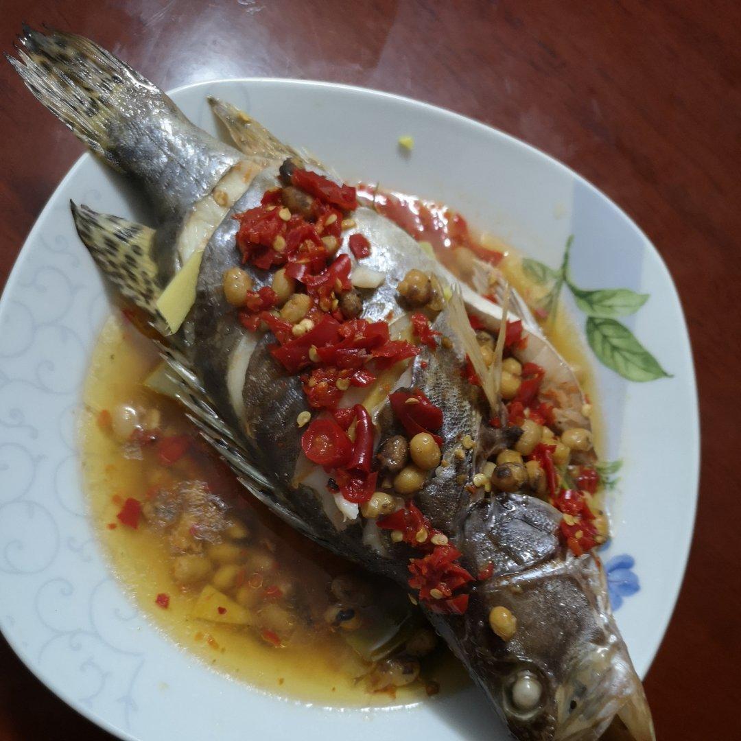 清蒸桂花鱼(鳜鱼)，适合各种清蒸鱼，超级鲜美
