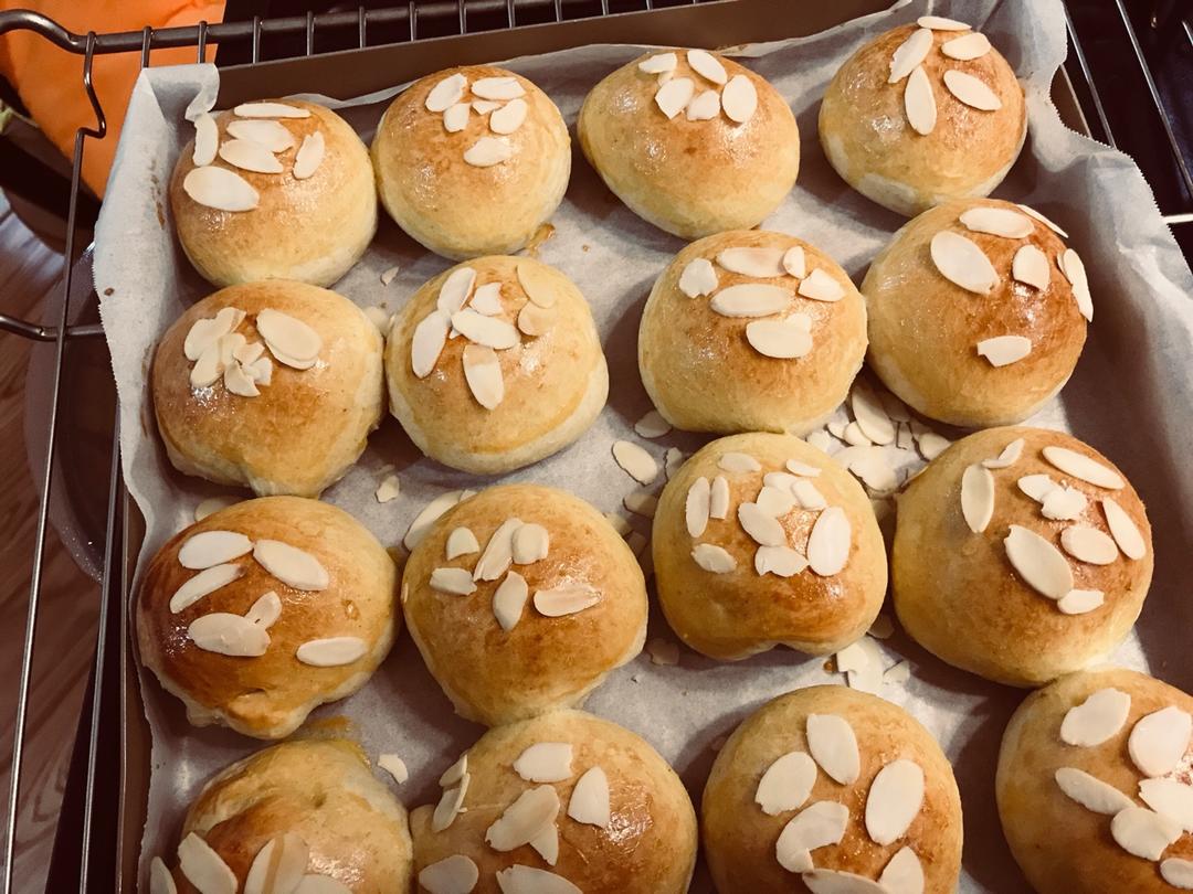 鲜奶油小餐包（一次发酵）