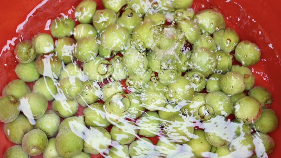 自制青梅酒的做法 步骤3