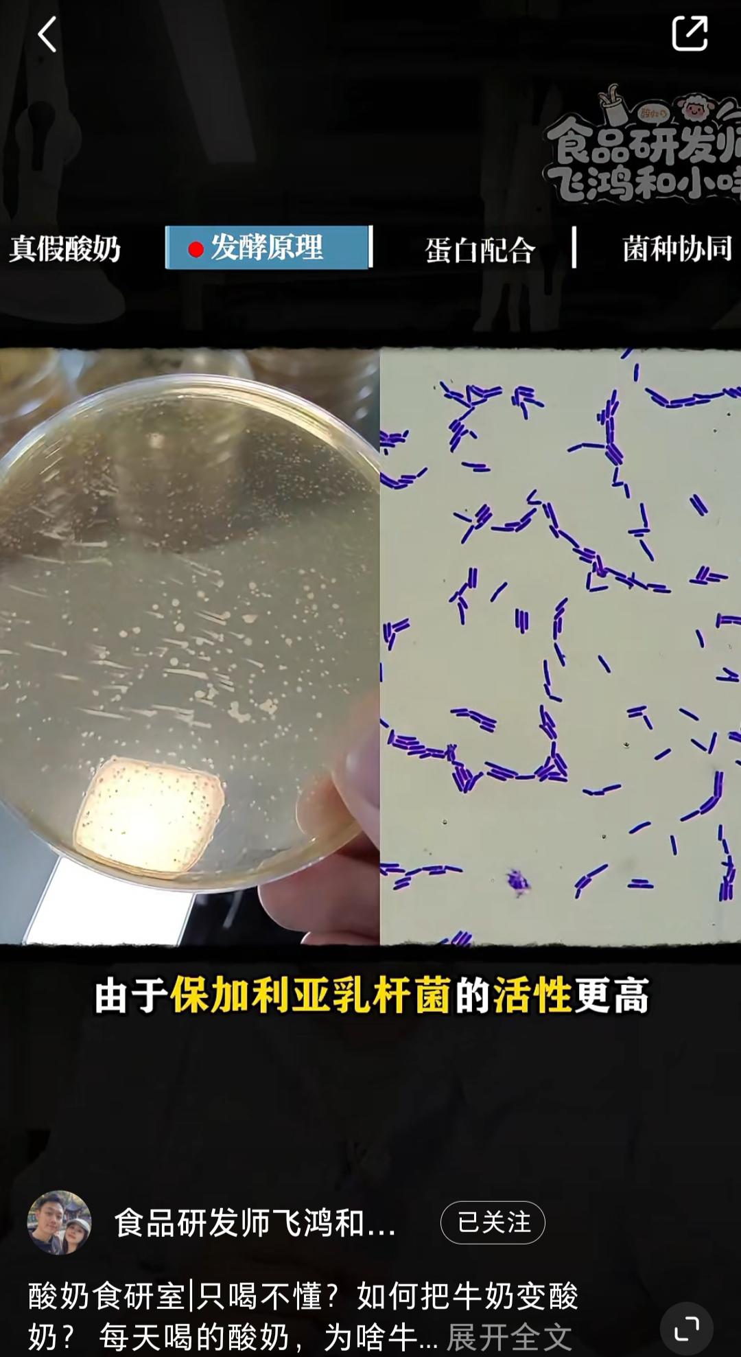 364 自制酸奶失败案例集锦和原因分析，消毒杀菌一定要彻底到位！