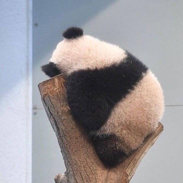 轰炸厨房的黑暗小李