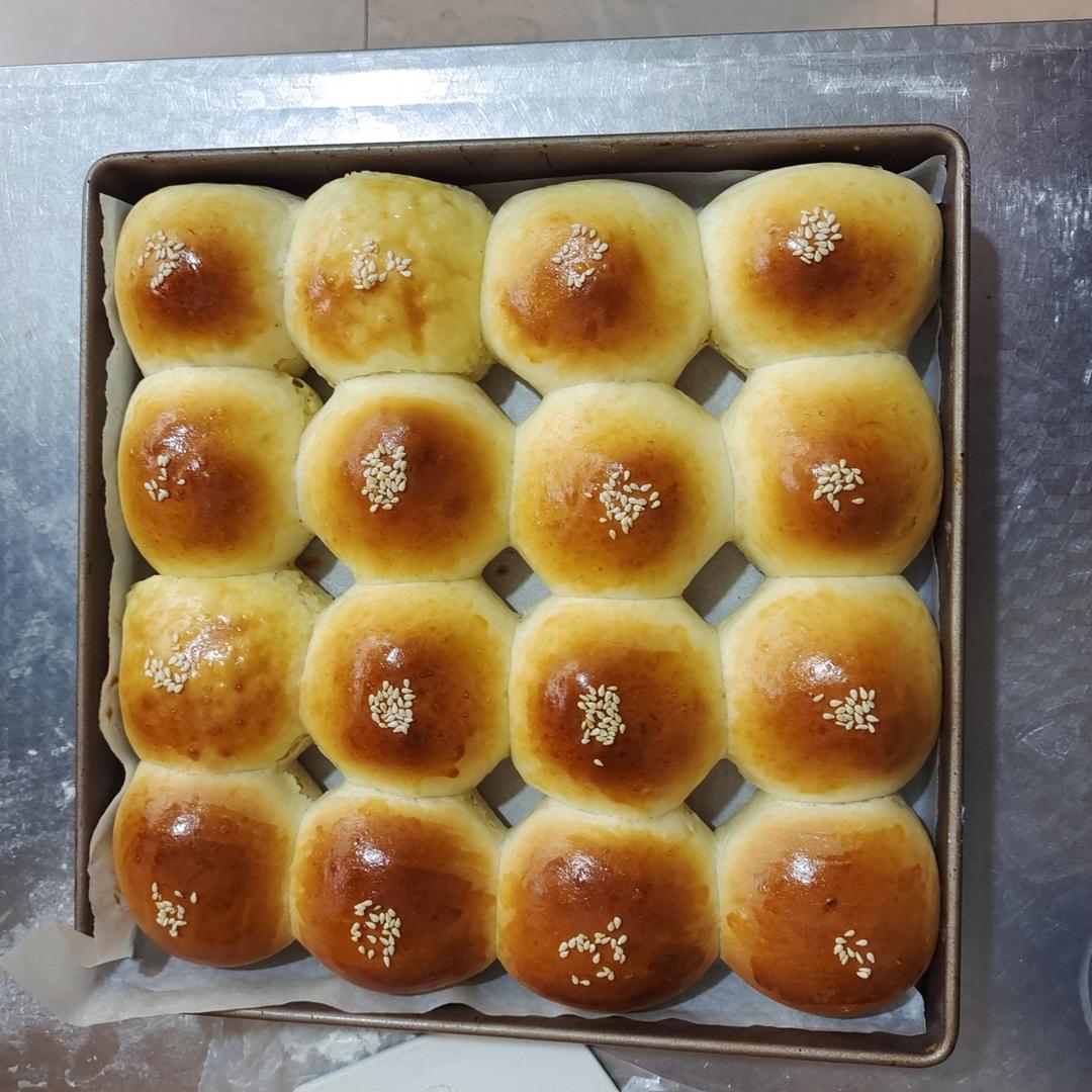 鲜奶油小餐包（一次发酵）