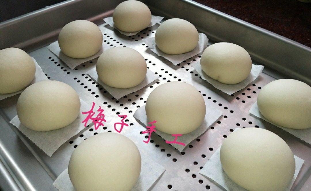 白胖胖（零基础必备，全程无手粉）