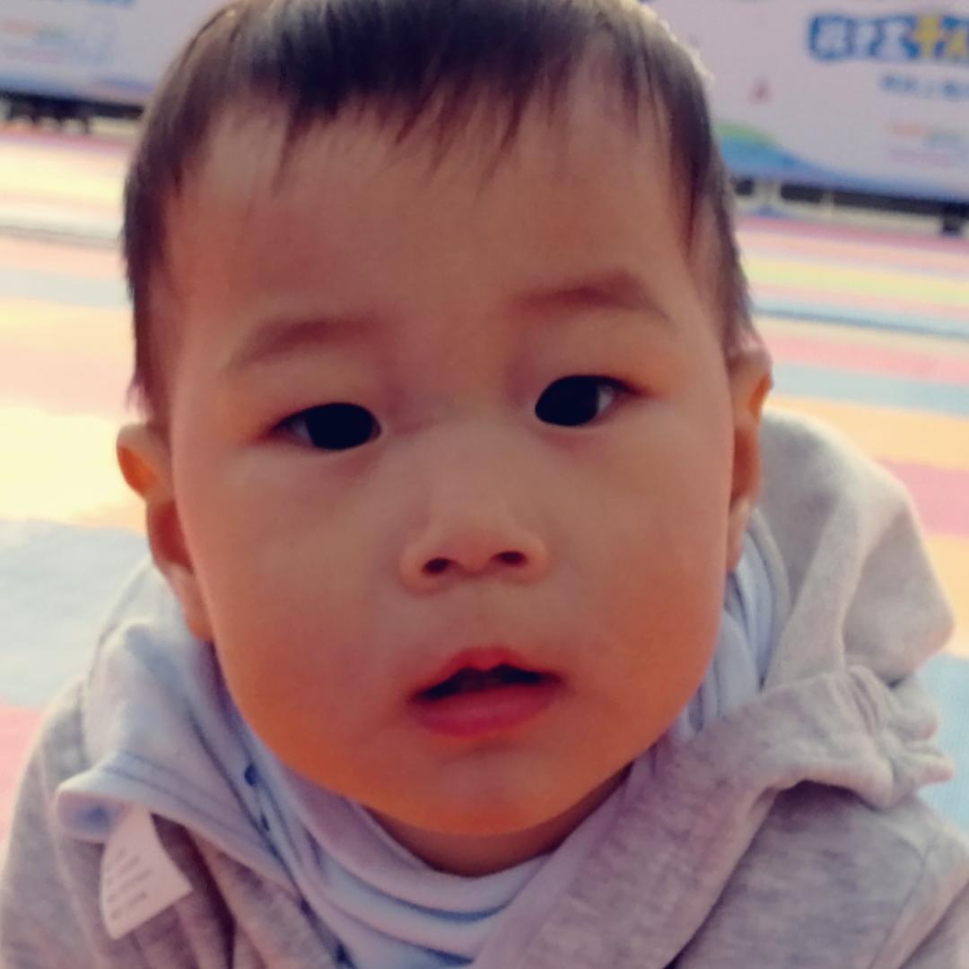 低调的低调的低调