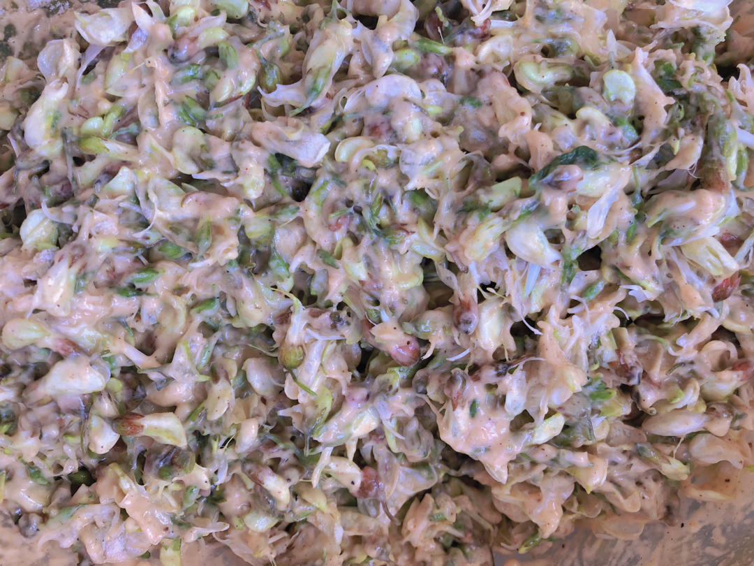 春天必吃槐花饼