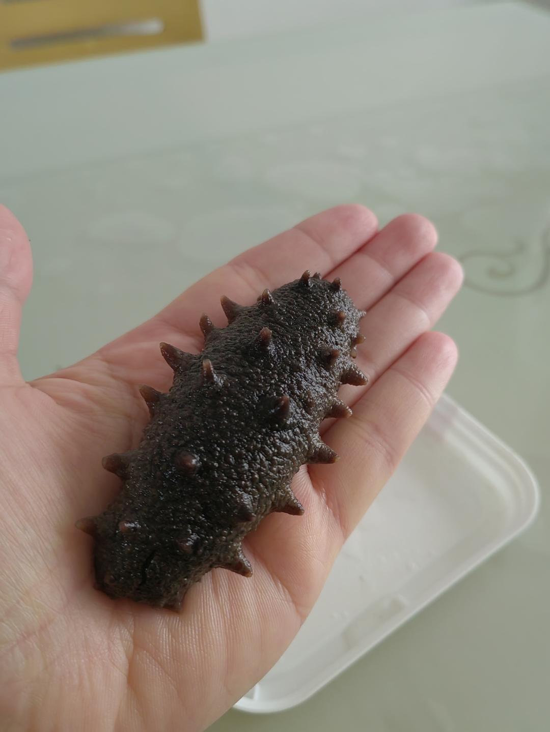 一碗美美的蒸水蛋（海参炖蛋）