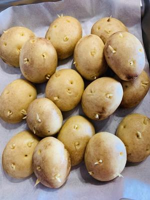 骗纸土豆🥔（玉米面馒头）的做法 步骤16