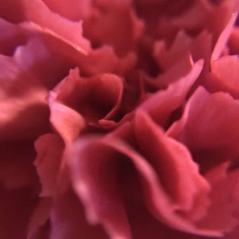 做自己想吃的饭