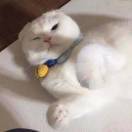 远方家的小哥哥