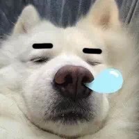 _与乐