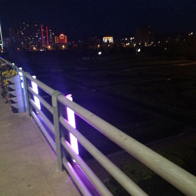1315秋风扫落叶