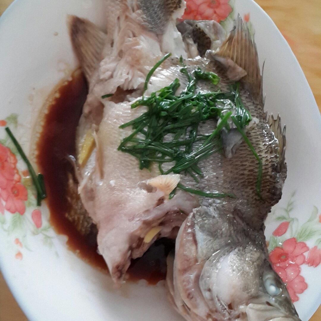 清蒸鲜鱼，完美教程