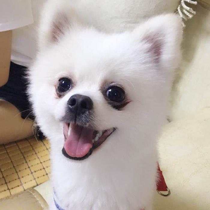 大吉大吉大吉大吉