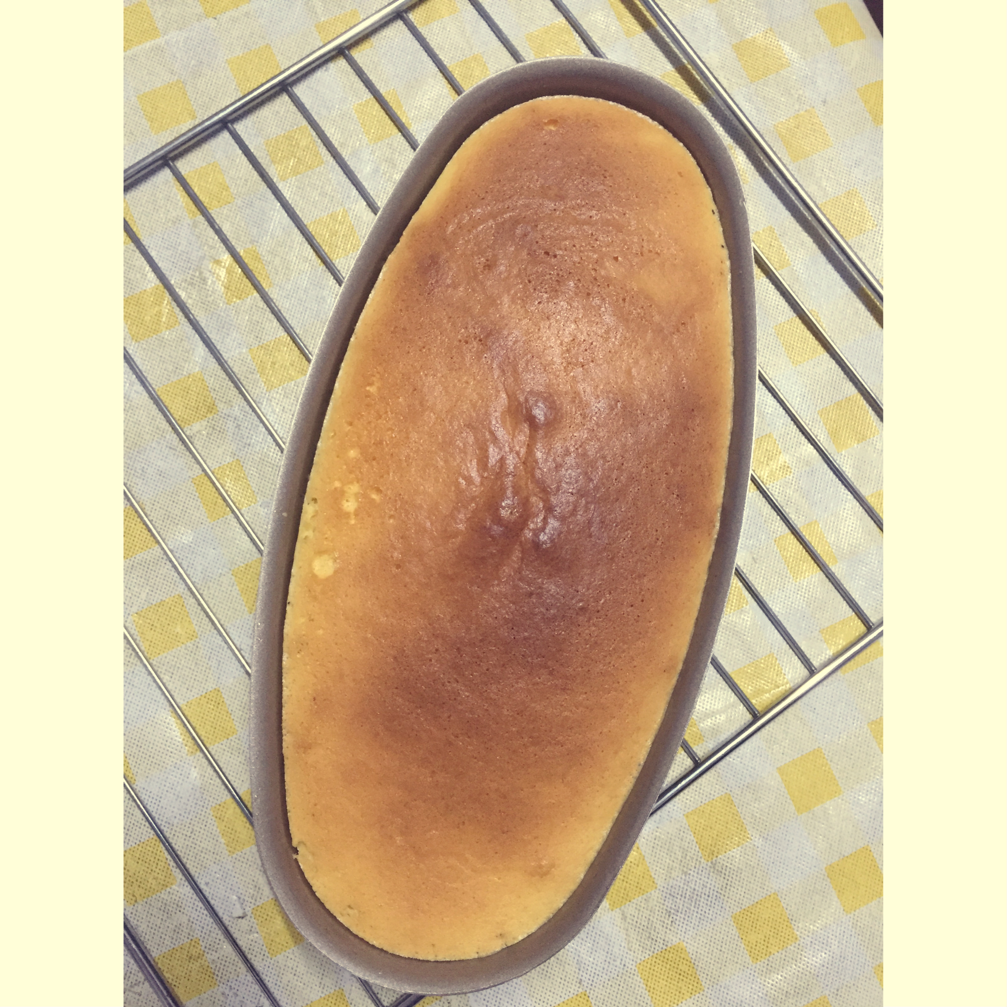 轻乳酪芝士蛋糕6寸#皮黑森林#