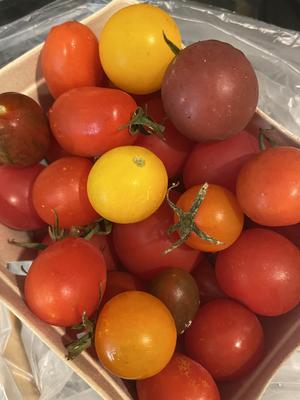 传统意大利家庭版水牛芝士番茄沙拉（卡布里沙拉）的做法 步骤3