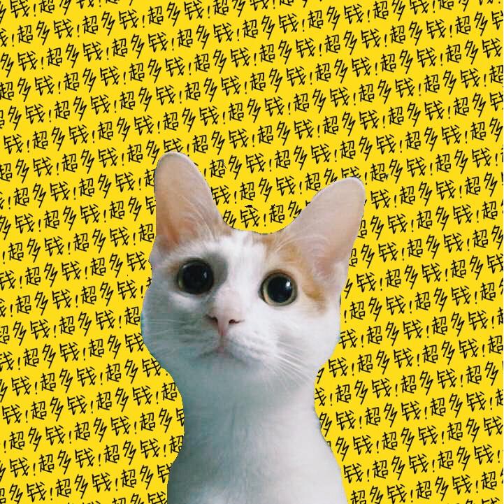 杨八个