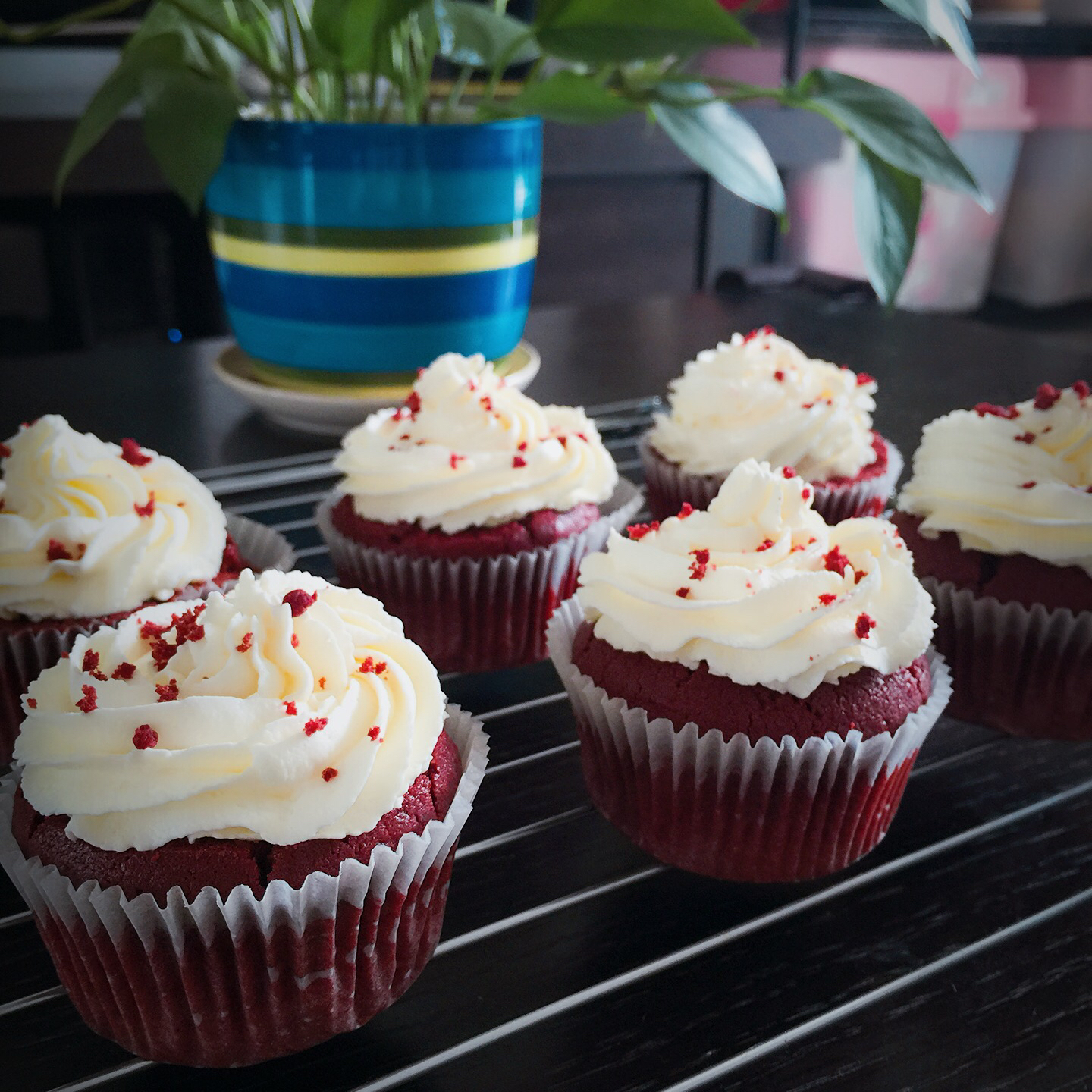 传统红丝绒杯子蛋糕（极软无泡打粉）Red velvet cupcake