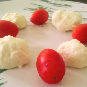 30分钟自制马苏里拉奶酪 Homemade Mozzarella