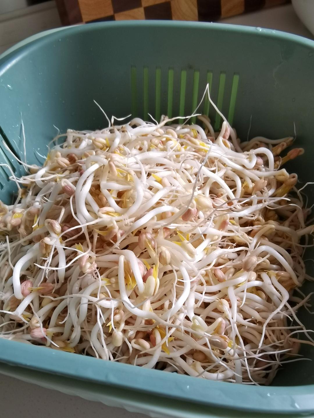 零难度的自发绿豆芽