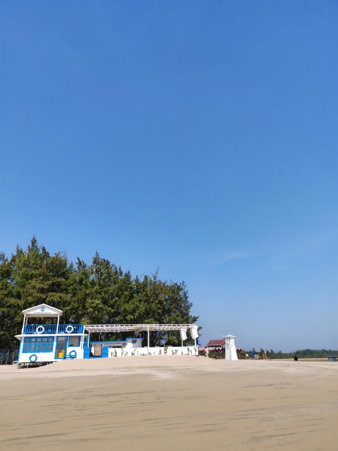 自由的鹰
