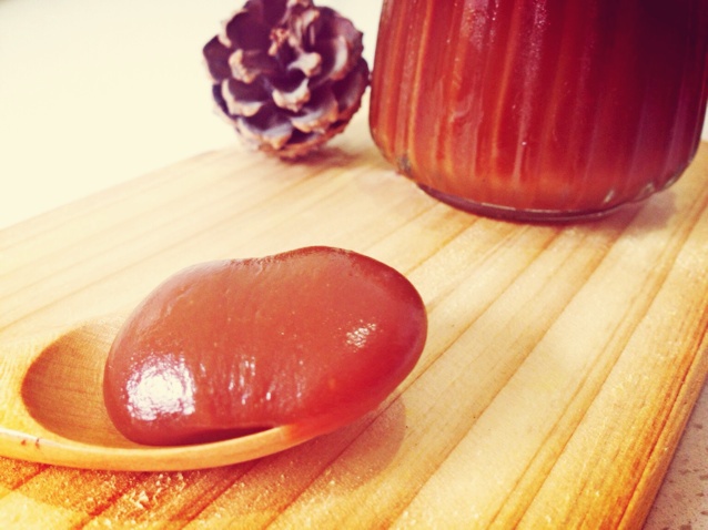 焦糖酱 Caramel Sauce