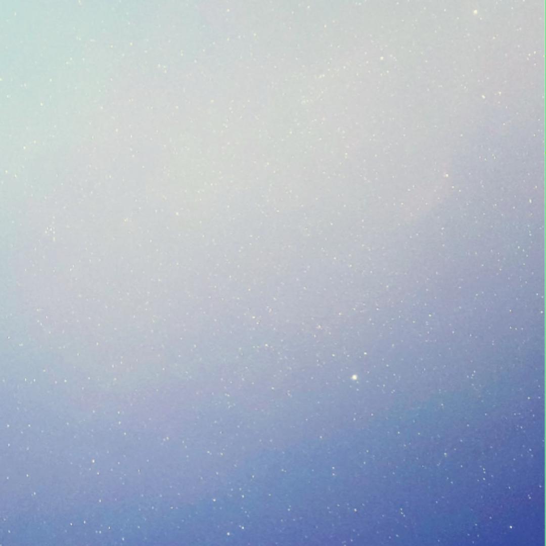 番茄炒鸡蛋配米饭