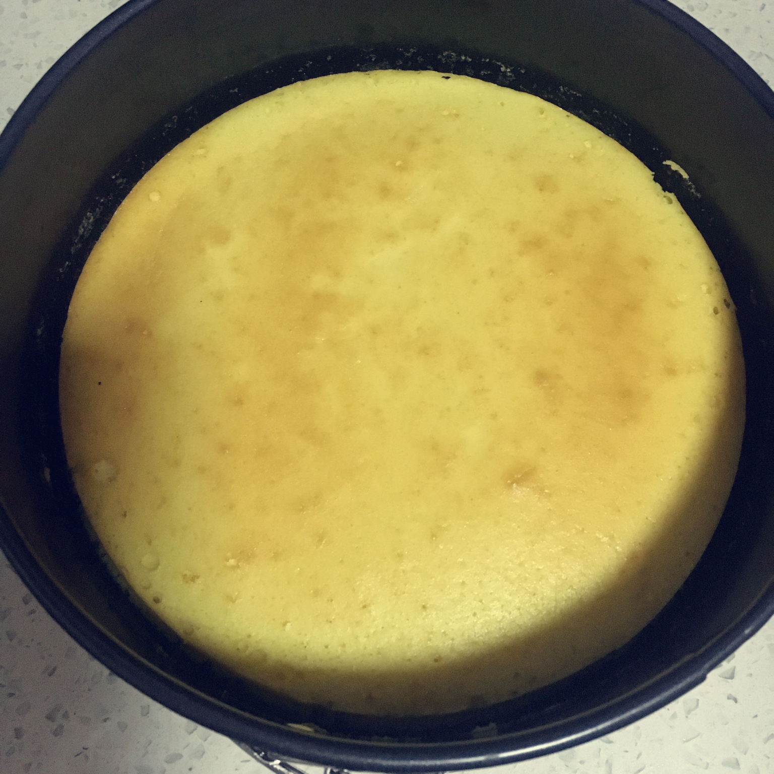 轻乳酪芝士蛋糕6寸#皮黑森林#