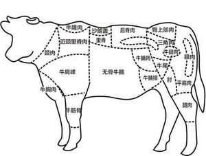 牛肉的部位图解与做法(来自度娘)的做法 步骤2