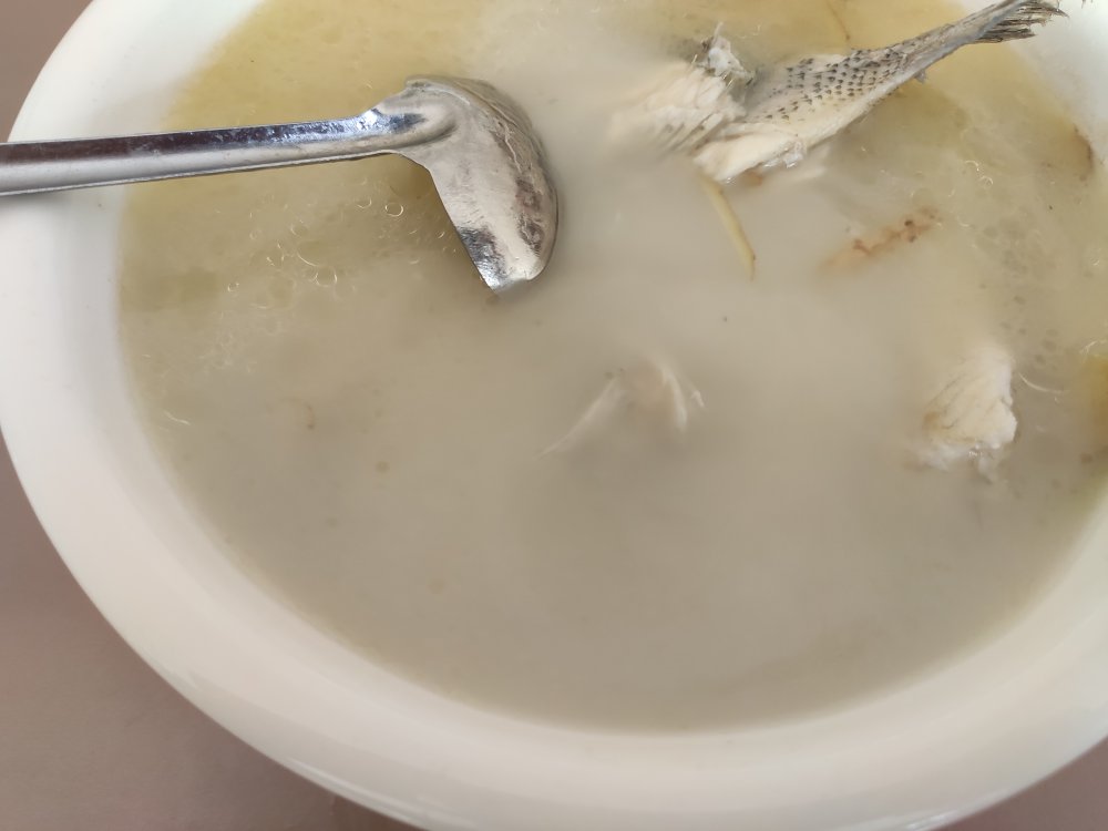 奶白鲈鱼汤