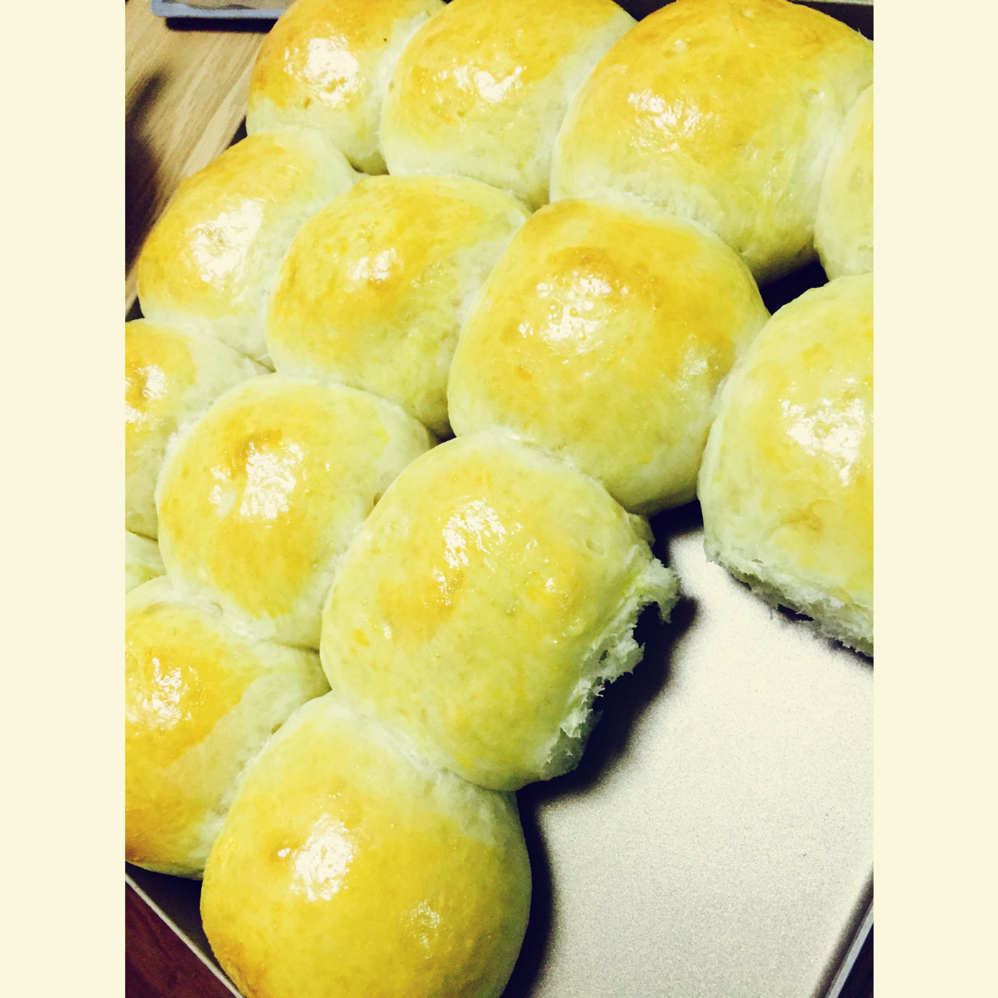 一次发酵——超级无敌懒人快手椰蓉小餐包