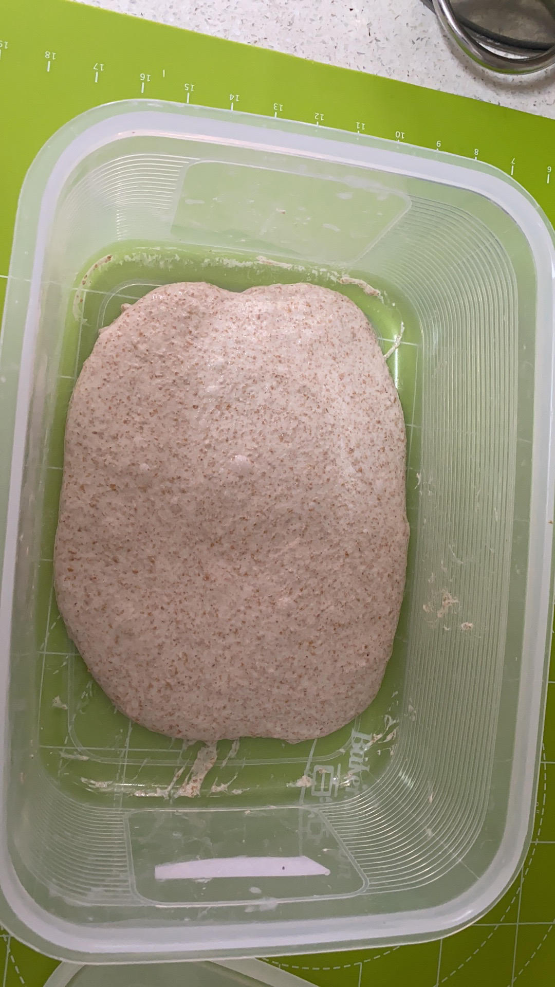 50%全麦欧包丨鲁邦种·无油无糖