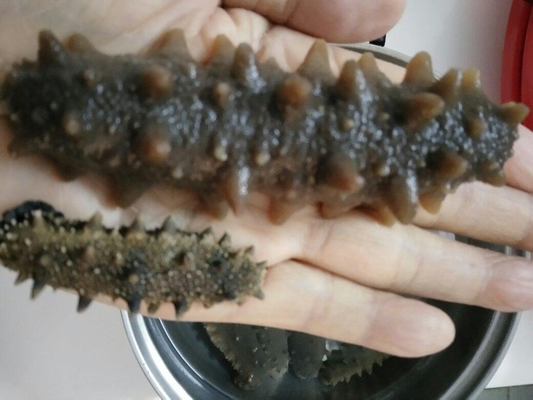 堂妈教你发海参